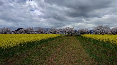 KIMG20260331_104054503