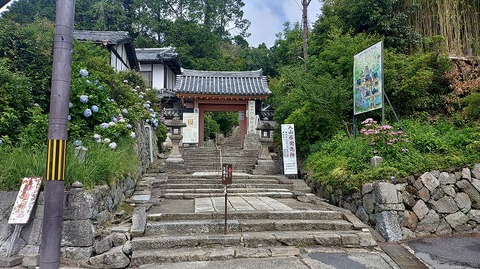 KIMG20260618_095014753