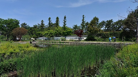 KIMG20260502_105455831