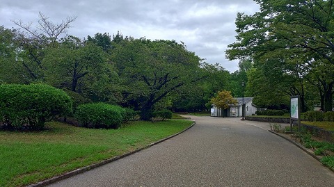 KIMG20260909_061107863