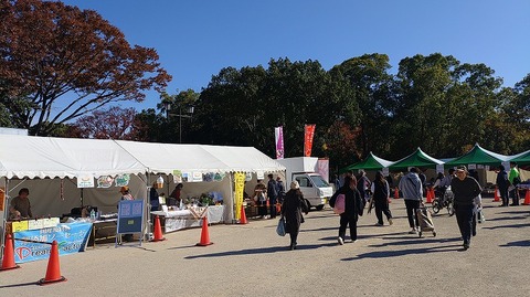 KIMG20251123_102436146