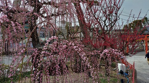 KIMG20260302_123520795