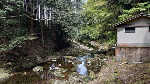 KIMG20260417_115318055