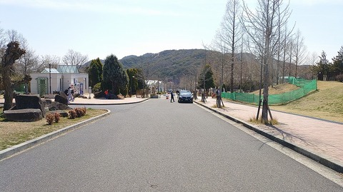 KIMG20260317_115743874