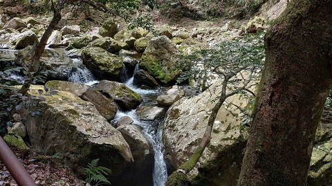 KIMG20260417_120036910