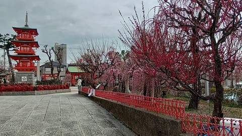 KIMG20260302_122704609