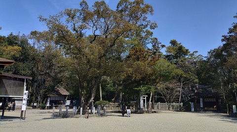 KIMG20260324_132636668