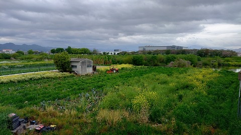 KIMG20260415_075151977