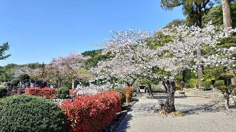 KIMG20260408_105139843