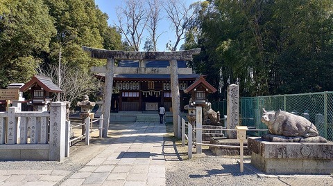 KIMG20260222_114412381