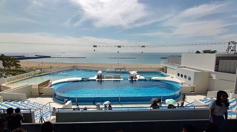 KIMG20251008_104100479