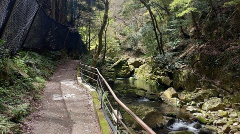 KIMG20260417_115927739