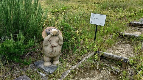 KIMG20260704_112404880