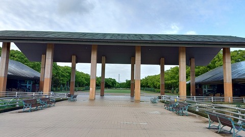 KIMG20260608_062117477