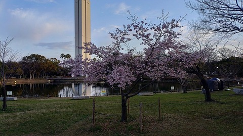 KIMG20260306_065757964