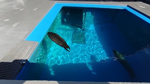 KIMG20251008_105143062