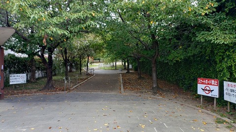 KIMG20261004_080649850