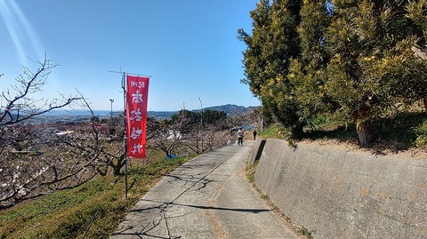 KIMG20260218_125239911