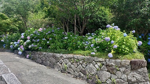KIMG20260618_095718558