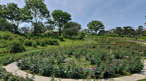 KIMG20260502_105504334