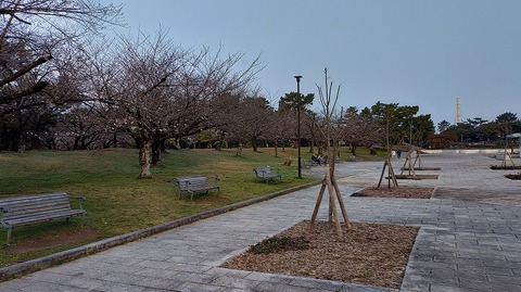 KIMG20260329_061953425