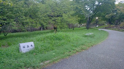 KIMG20260915_060000122