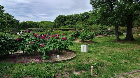 KIMG20260422_101205649