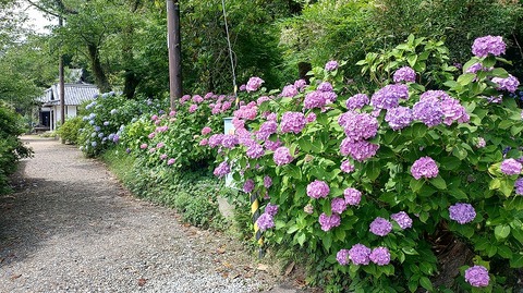 KIMG20260618_100711463