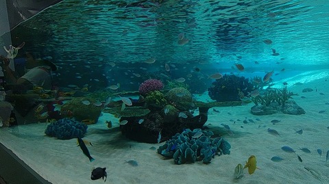 KIMG20251008_104719831