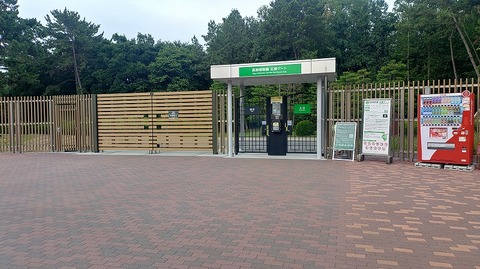 KIMG20260616_061840171