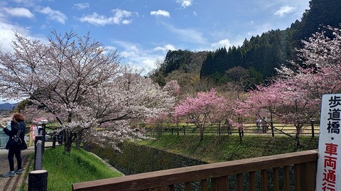 KIMG20260331_112114740