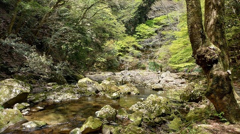 KIMG20260417_122357479