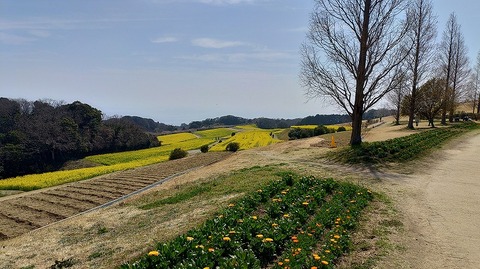 KIMG20260324_115417567