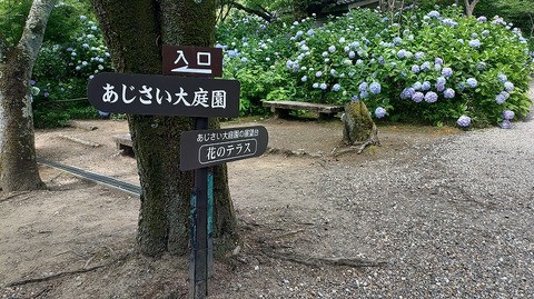 KIMG20260618_100943201