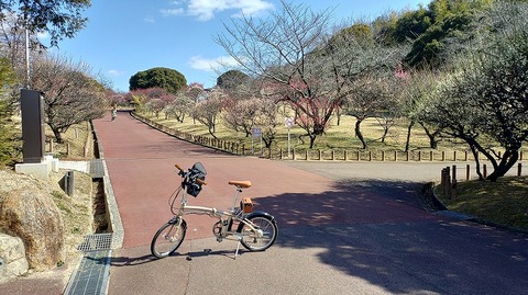 KIMG20260219_121513914