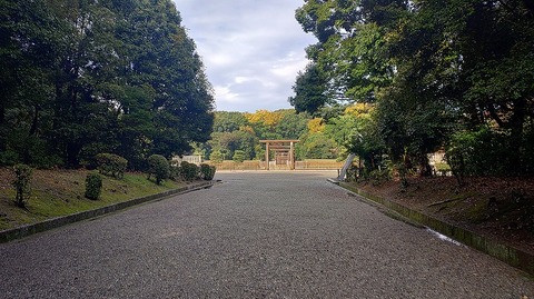 KIMG20251125_133226054