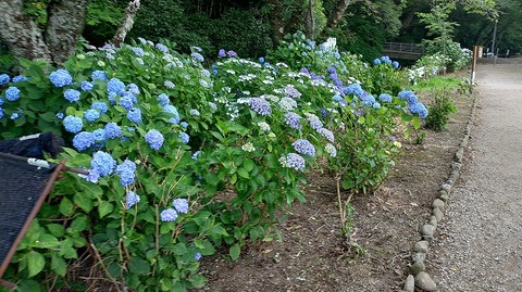 KIMG20260601_145854500