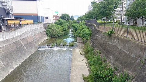 KIMG20260703_080728815