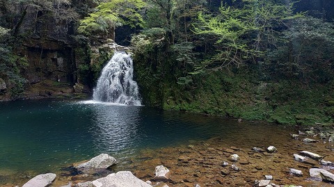 KIMG20260417_121742499