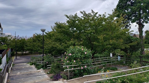 KIMG20261004_080834217