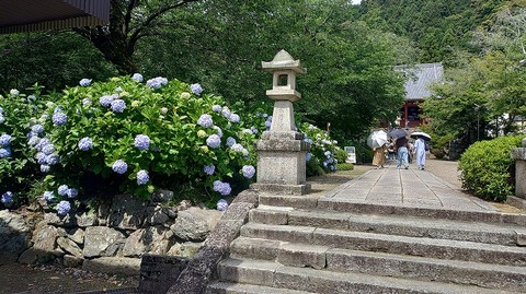 KIMG20260618_095714639