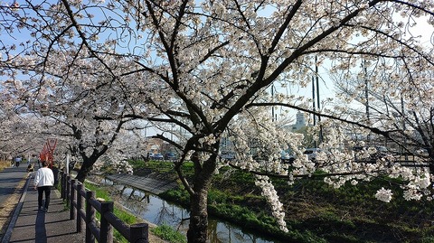 KIMG20260403_082638779