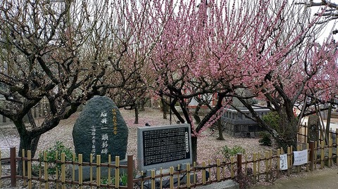 KIMG20260302_122423543