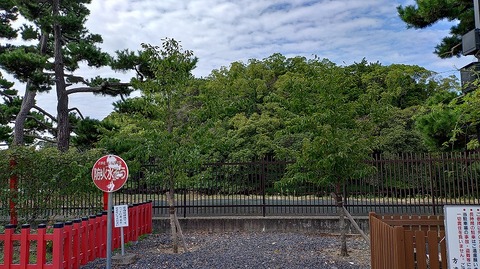 KIMG20250924_100526934