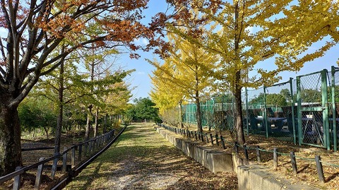 KIMG20251114_103919096