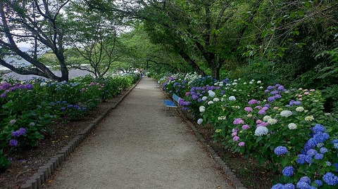 KIMG20260601_145245296