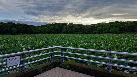 KIMG20260608_062103593