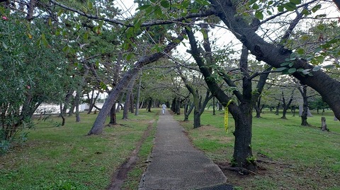 KIMG20251027_062512481