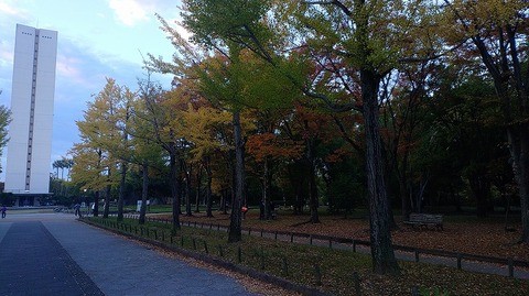 KIMG20251112_063141297