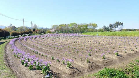 KIMG20260408_095723773